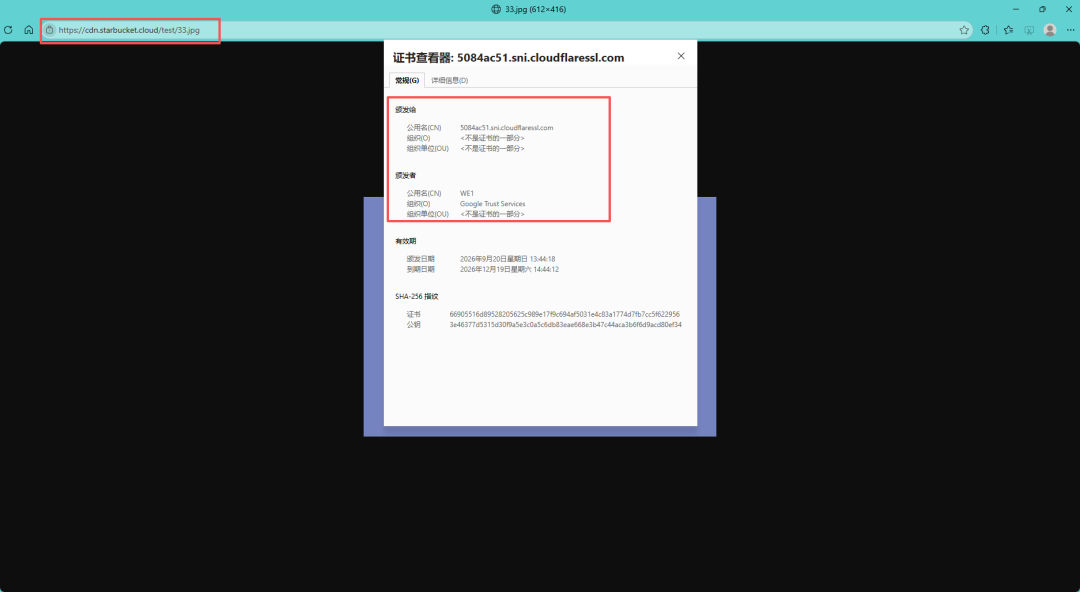 《Cloudflare免费对象存储R2+HTTPS,同时具备资源加速和资源存储》文章正文配图(配图 17)— STARBUCKET BLOG